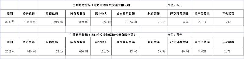 海口公交集團及下屬各子公司2022年度信息公開財務主要指標明細2_副本.png